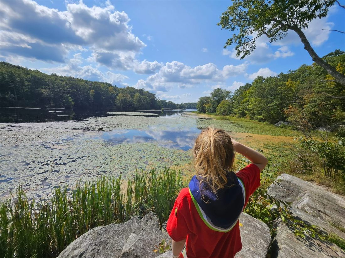 A scout looking out over a lake